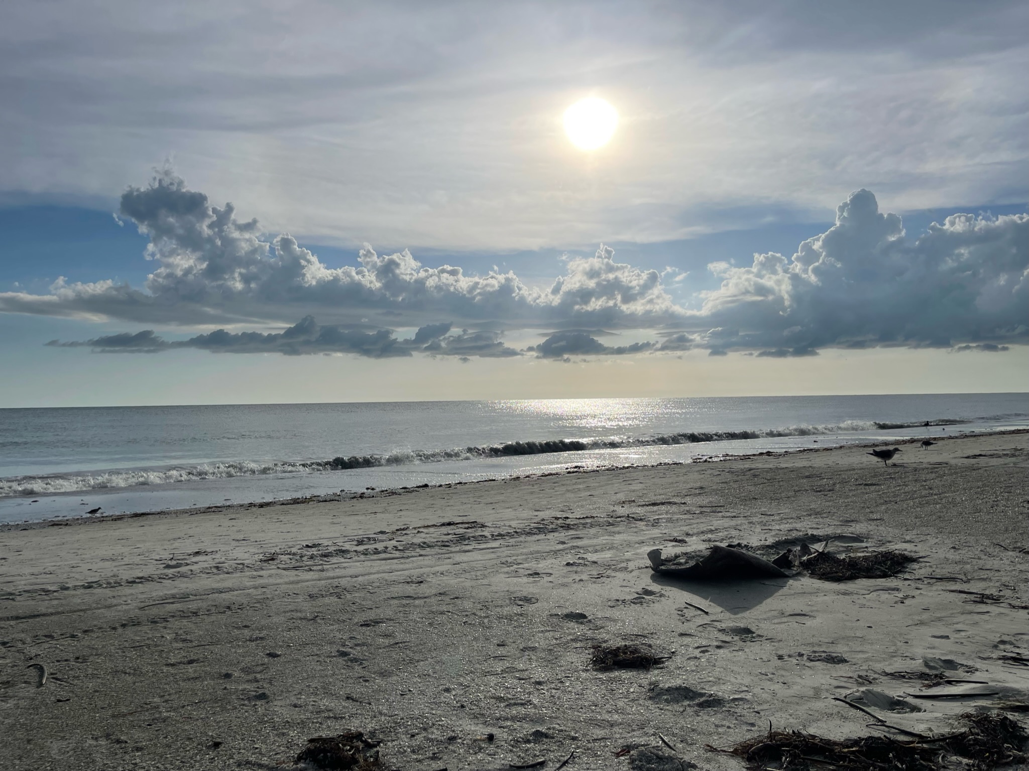Tampa Bay Beaches Sunset